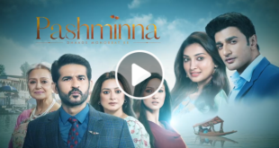 Watch Pashminna Ziddidil Serial Full Episodes Video Online